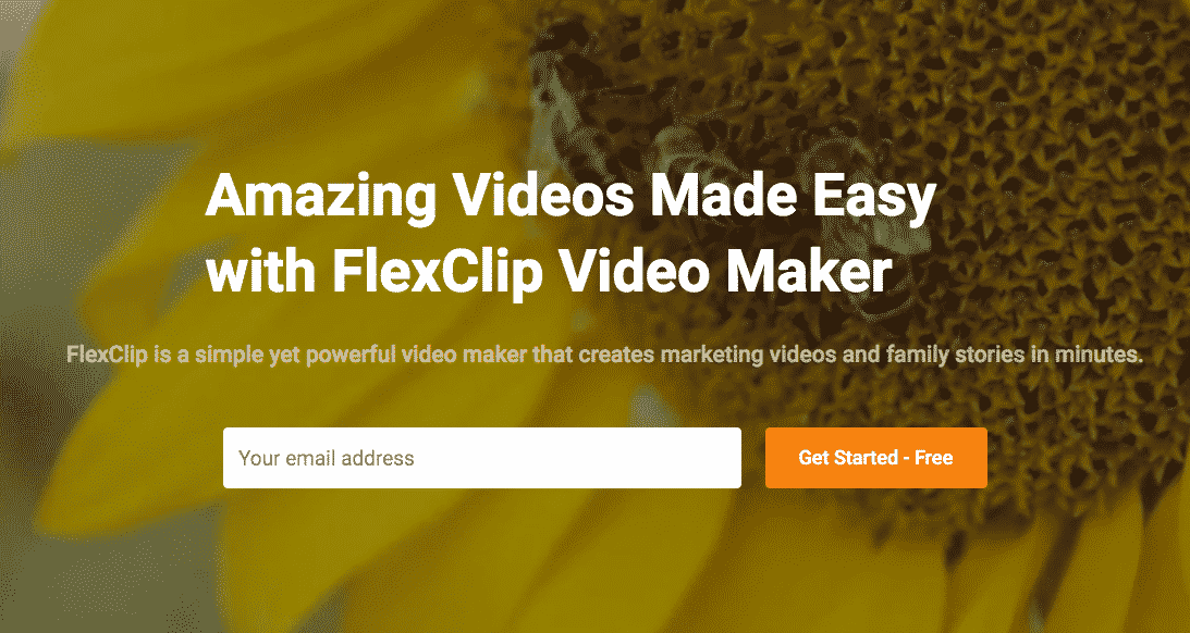 FlexClip  Video Editing Software