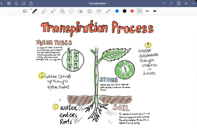 Goodnotes App